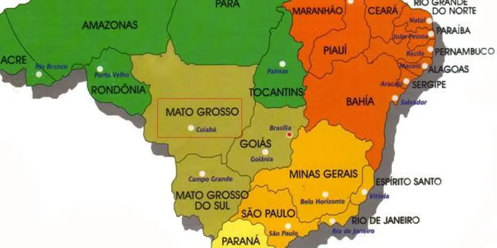 Imagem do grupo de WhatsApp 🇧🇷UNIÃO E AÇÃO🇧🇷