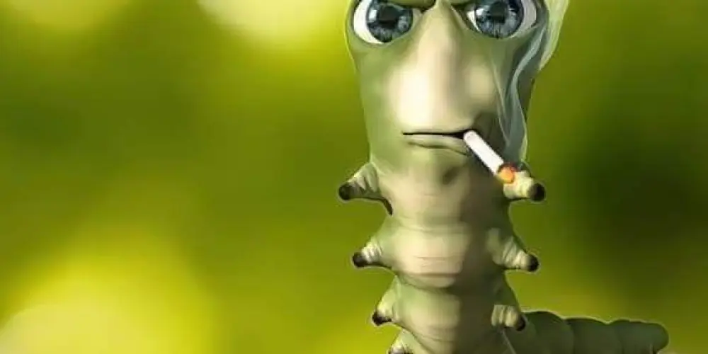 Imagem do grupo de WhatsApp União lozs