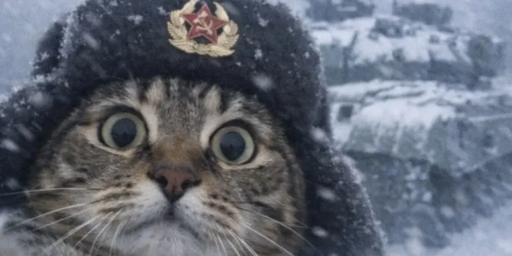 Imagem do grupo de WhatsApp UNIÃO SOVIÉTICA