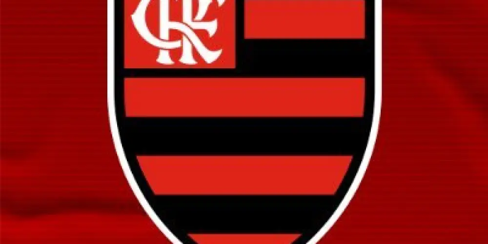 Imagem do grupo de WhatsApp UNIDOS PELO FLAMENGO