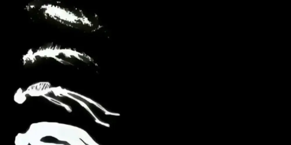 Imagem do grupo de WhatsApp Universal Artists🌟