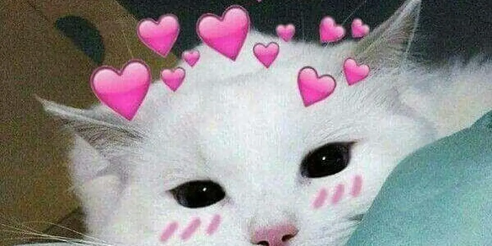 Imagem do grupo de WhatsApp Universo Dos Stickers