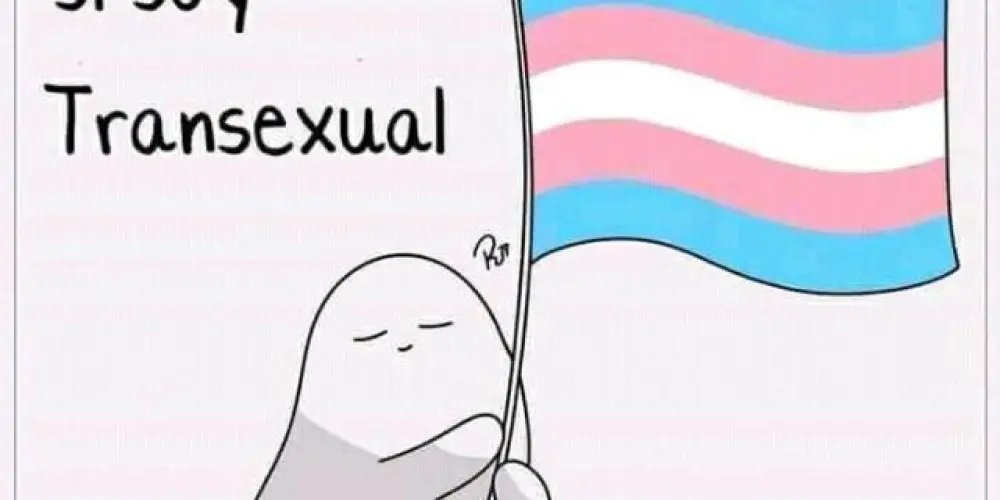 Imagem do grupo de WhatsApp Universo Trans 🏳️‍⚧️