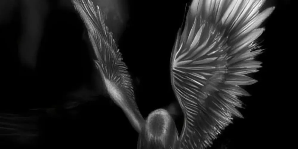 Imagem do grupo de WhatsApp ꧁$U฿ ༒ZᎬᏒᎾ꧂