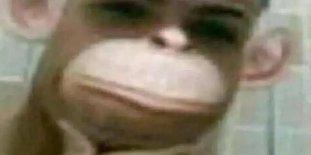 Imagem do grupo de WhatsApp Vagabundos [2.0] 🧟