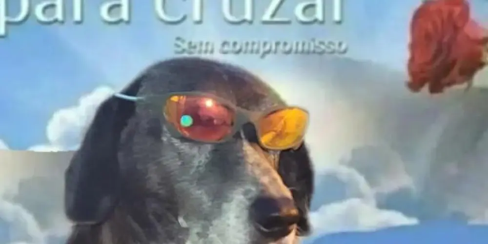 Imagem do grupo de WhatsApp Vagabundos S/A