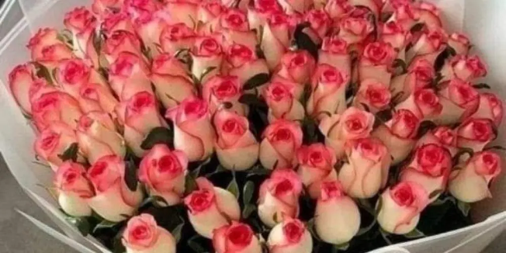 Imagem do grupo de WhatsApp ❤️❤️❤️ vai dar Namoro com DDD 62 e 61 Goiânia GO E Brasília Distrito Federal ❤️❤️❤️