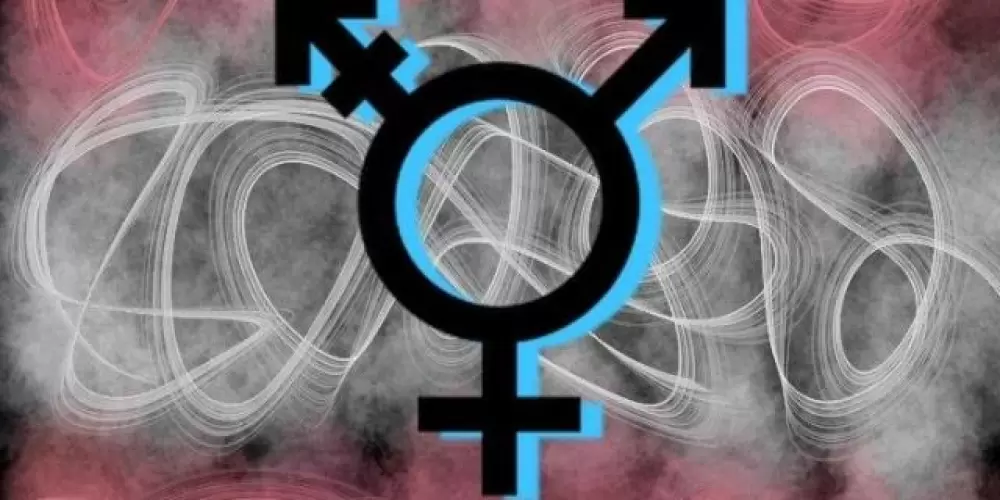 Imagem do grupo de WhatsApp Vale das trans/travesti 💙🩷