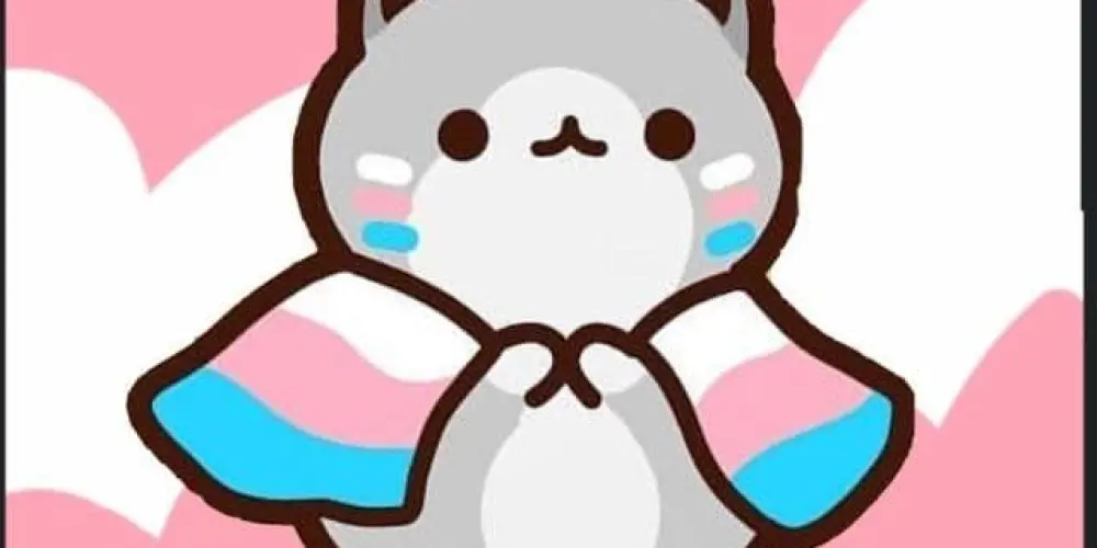 Imagem do grupo de WhatsApp 🩷💙 Vale das trans/travesti 💙🩷