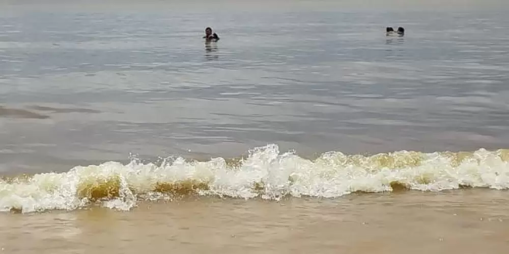 Imagem do grupo de WhatsApp VALE TUDOO