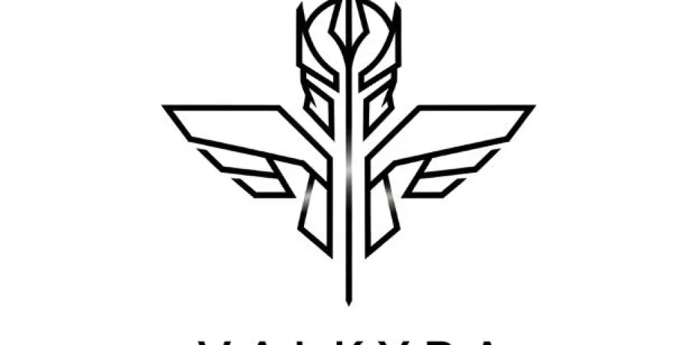 Imagem do grupo de WhatsApp Valkyra