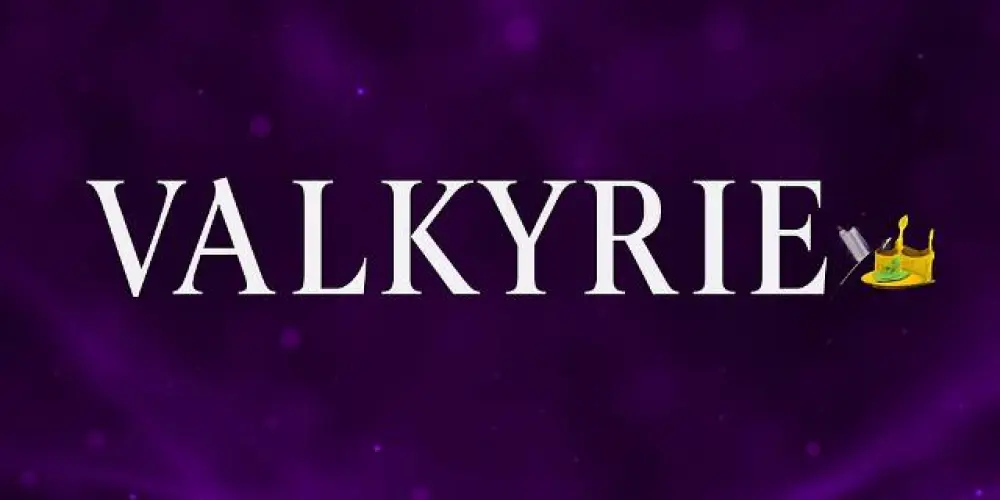 Imagem do grupo de WhatsApp VALKYRIE ⚔️👑