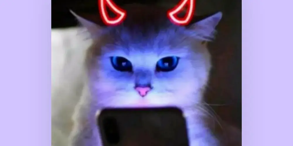 Imagem do grupo de WhatsApp Vamos começar