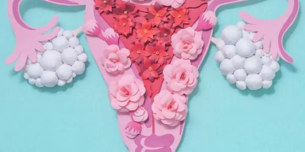 Imagem do grupo de WhatsApp Vamos Falar de SOP?