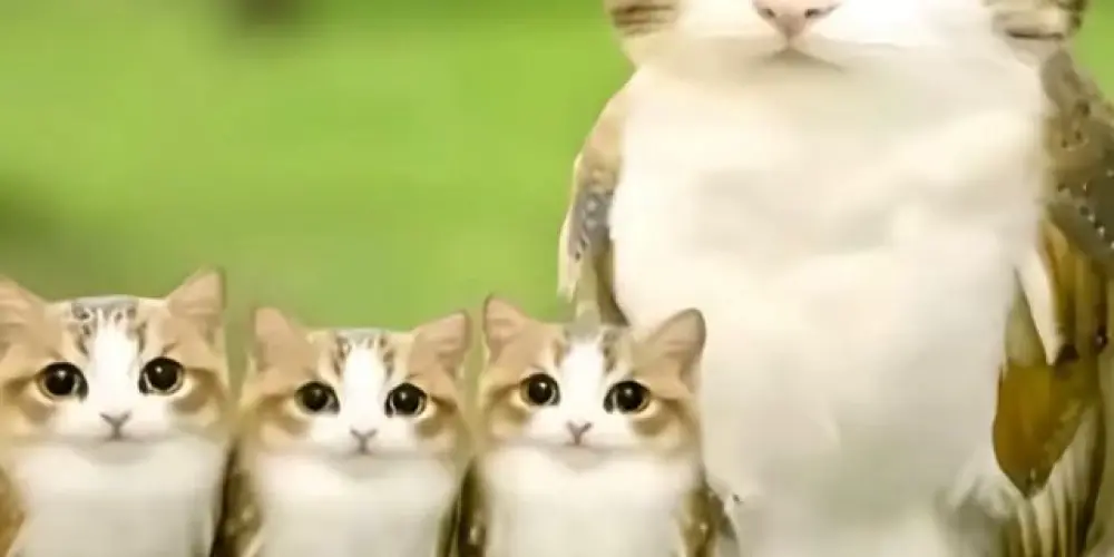 Imagem do grupo de WhatsApp Vandalos