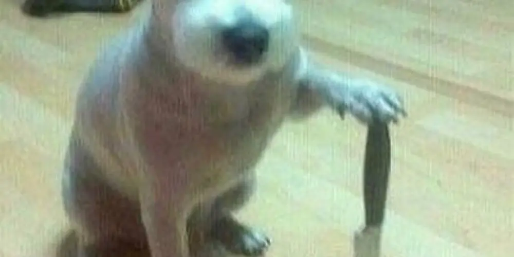 Imagem do grupo de WhatsApp Vanguarda Proletária