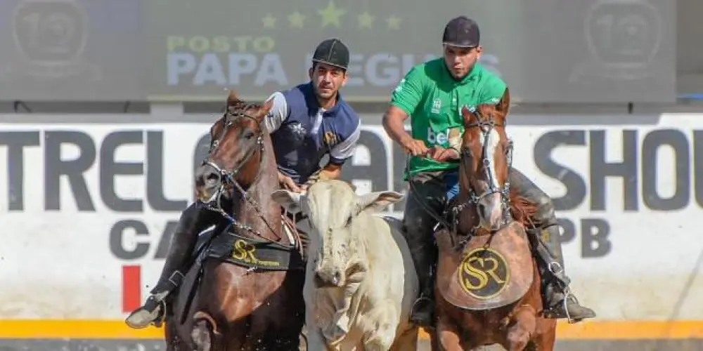 Imagem do grupo de WhatsApp Vaqueiros moderno