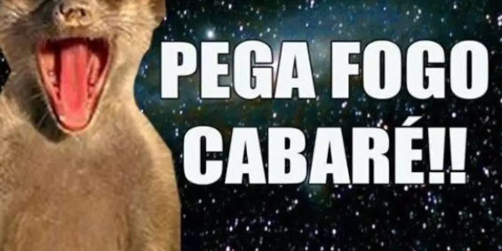 Imagem do grupo de WhatsApp veganos👌🏻👀