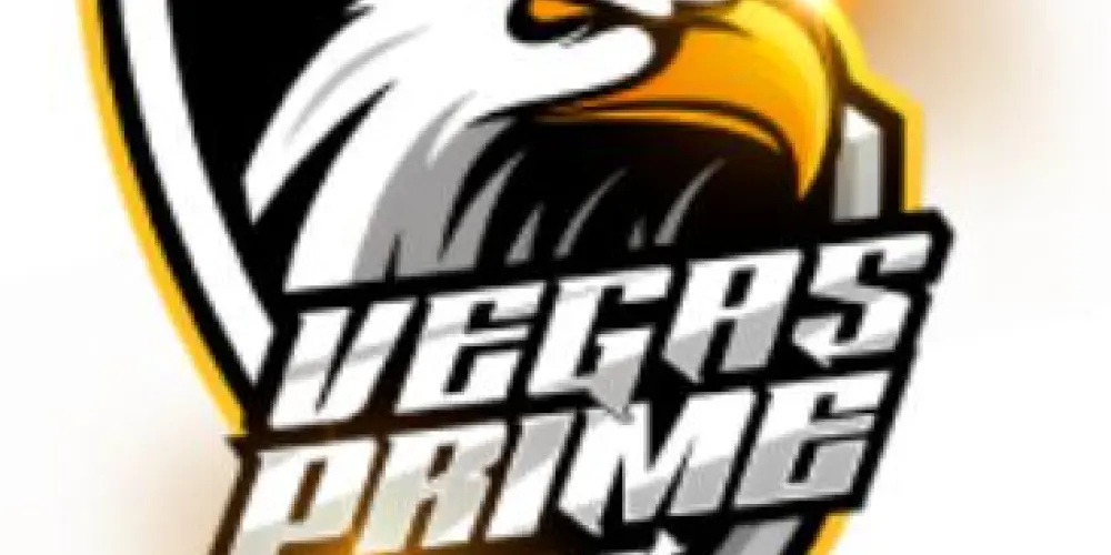 Imagem do grupo de WhatsApp 🦅VegasPrime🦅