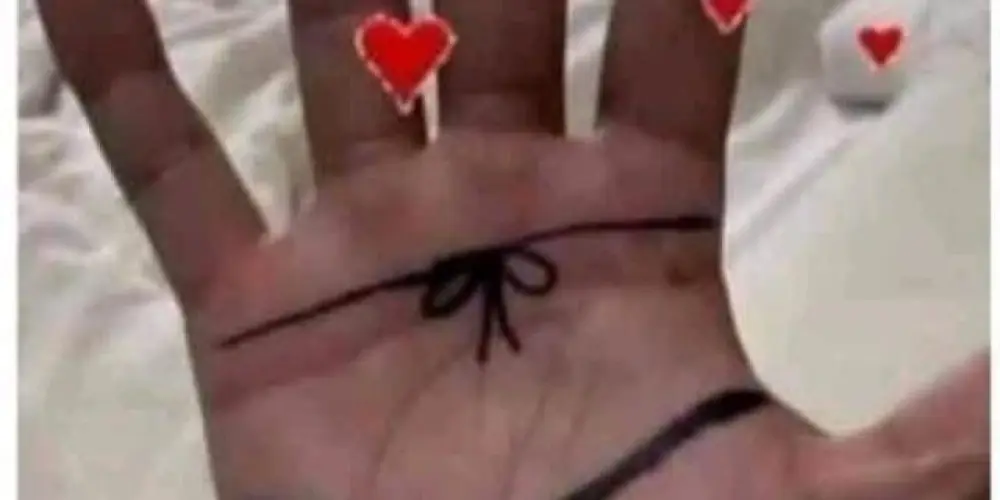 Imagem do grupo de WhatsApp Vele tudo 😈