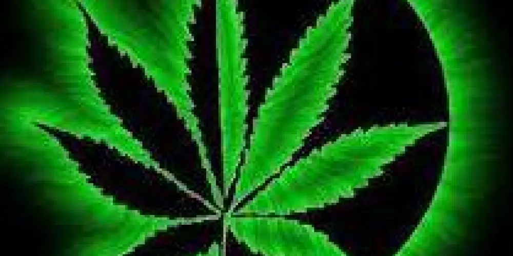 Imagem do grupo de WhatsApp 🍁🌹VENDAS CANNABIS  ECLIPSE 🌹🍁