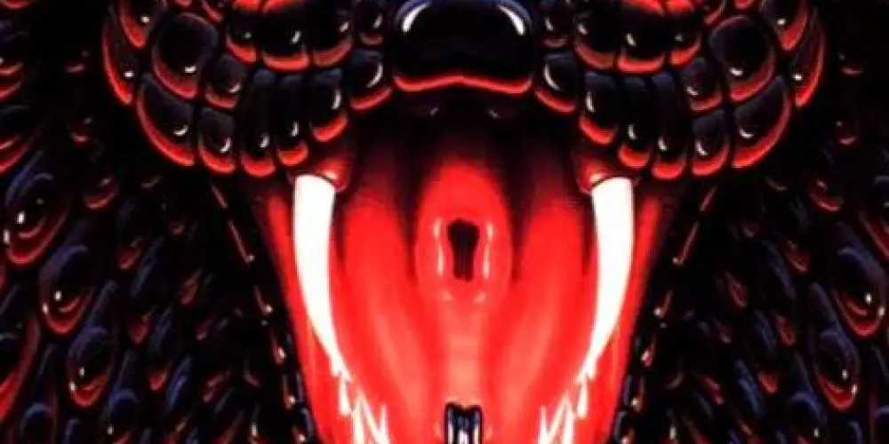 Imagem do grupo de WhatsApp 🐍VENENO🥋