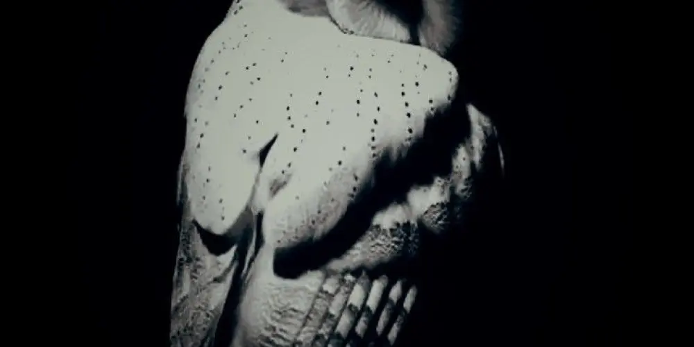 Imagem do grupo de WhatsApp Veneno lancaster