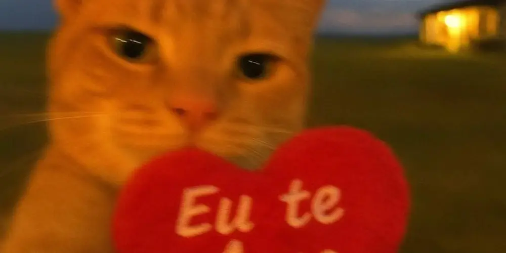 Imagem do grupo de WhatsApp Venha ser feliz 😈