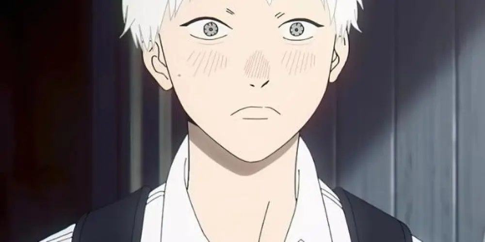 Imagem do grupo de WhatsApp Verão que Hikaru morreu