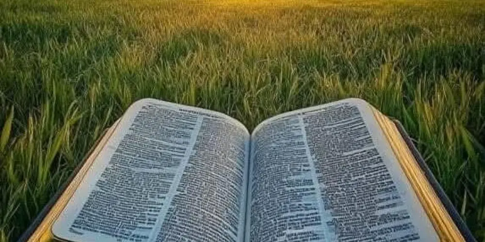 Imagem do grupo de WhatsApp Versículo do dia