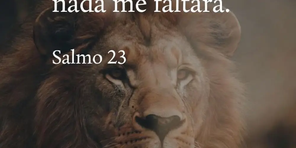 Imagem do grupo de WhatsApp Versículo do Dia
