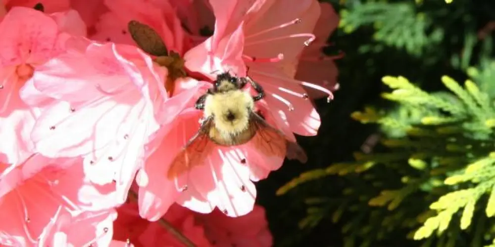 Imagem do grupo de WhatsApp Versículos