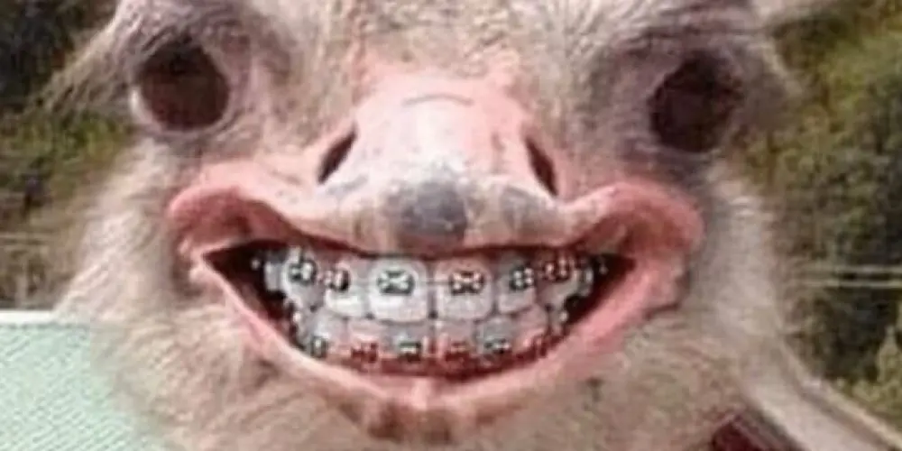 Imagem do grupo de WhatsApp ☠️ β𐀁ǤƲИÇ𐀁☠️