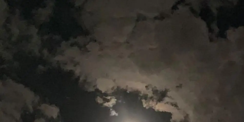 Imagem do grupo de WhatsApp Viciados em Zap Zap