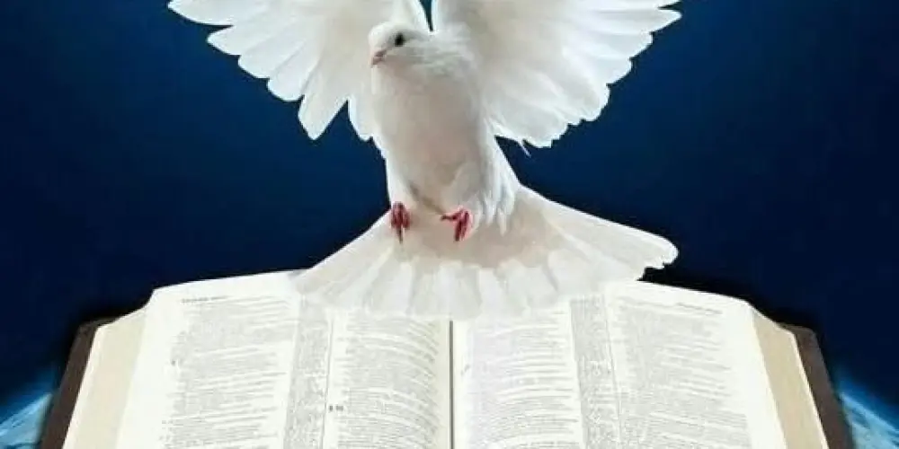 Imagem do grupo de WhatsApp Vida em Cristo