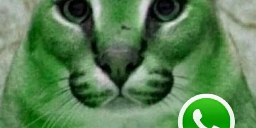 Imagem do grupo de WhatsApp viej@s floper@s 😏