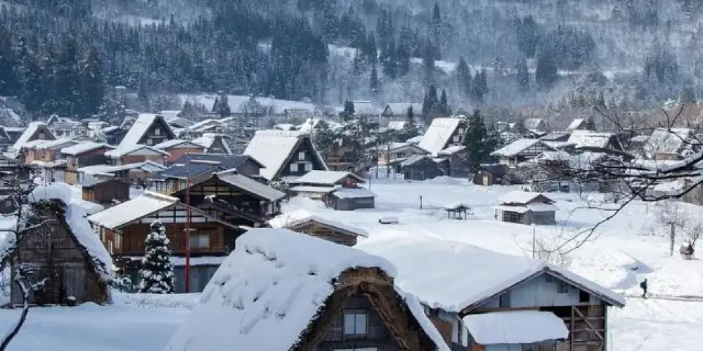 Imagem do grupo de WhatsApp Vilɑ Tsurumi. ❄️