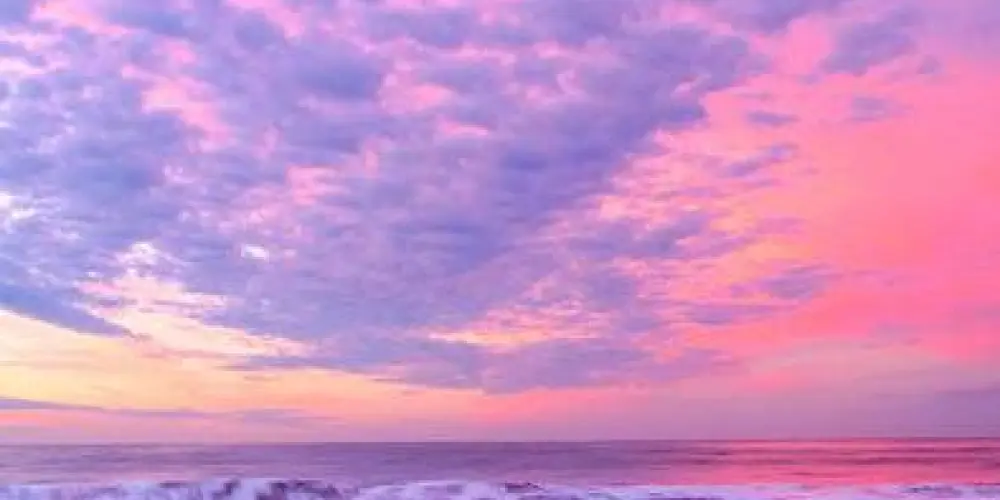 Imagem do grupo de WhatsApp violette étoilée