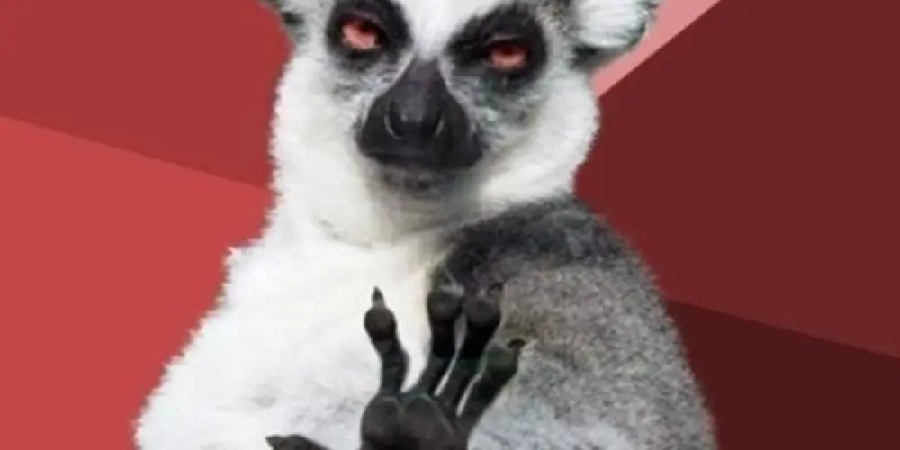 Imagem do grupo de WhatsApp Virada🤏🔪👍