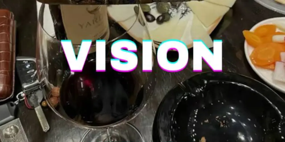 Imagem do grupo de WhatsApp VISION NETWORK 🐐