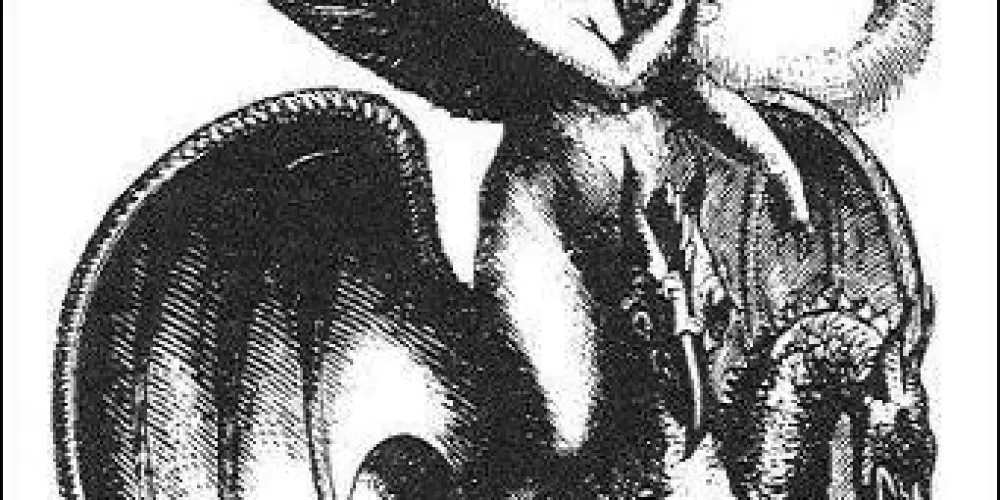 Imagem do grupo de WhatsApp Viva American pae