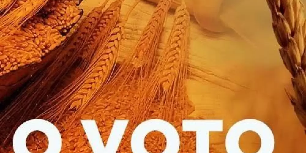 Imagem do grupo de WhatsApp Voto de Jacó 🛐