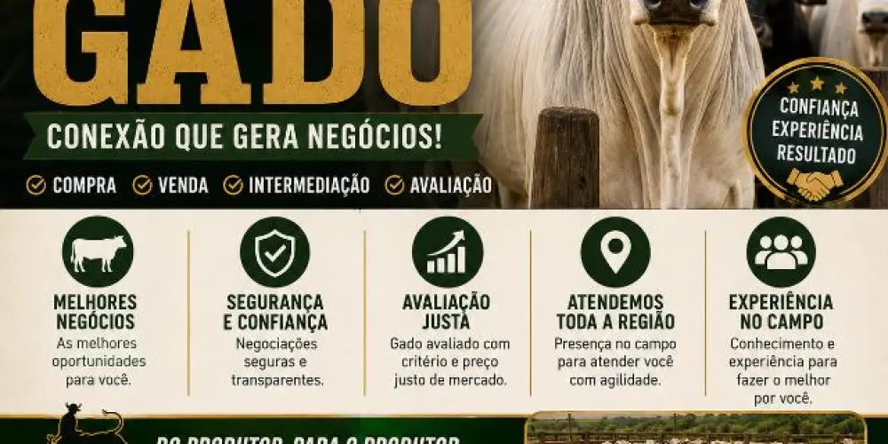 Imagem do grupo de WhatsApp WA Corretor De Gado