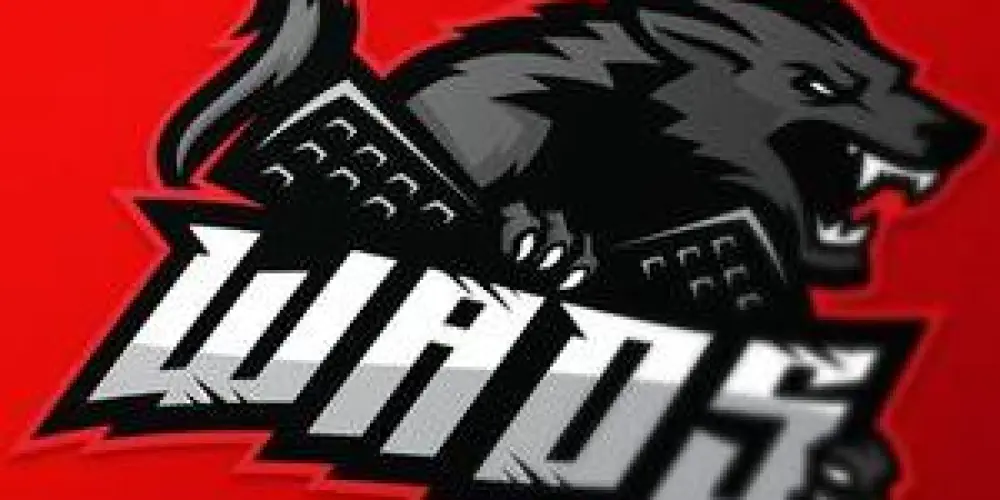 Imagem do grupo de WhatsApp 🐺WADS🐺