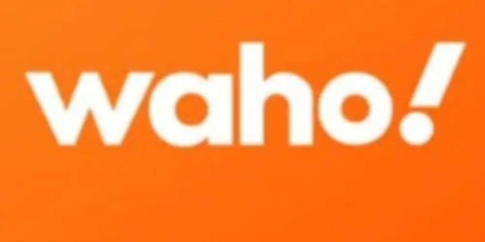 Imagem do grupo de WhatsApp Waho 11