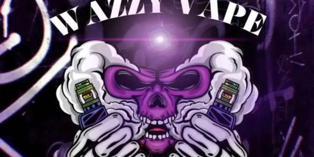 Imagem do grupo de WhatsApp WAZZY PODS