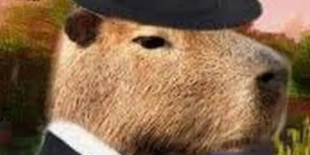 Imagem do grupo de WhatsApp #web_Amigos_2024#