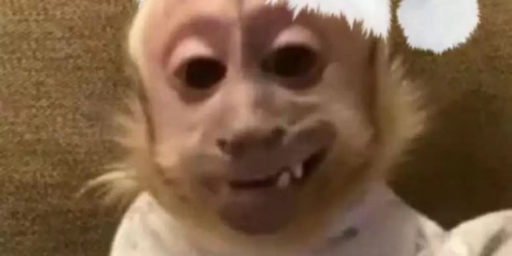 Imagem do grupo de WhatsApp web amigos