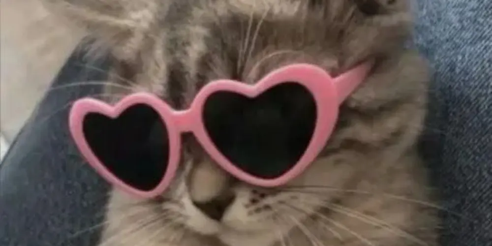 Imagem do grupo de WhatsApp web amigos