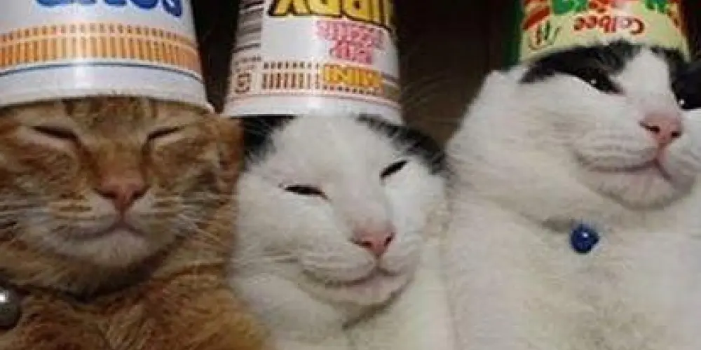 Imagem do grupo de WhatsApp 🫂Web Amigos💭